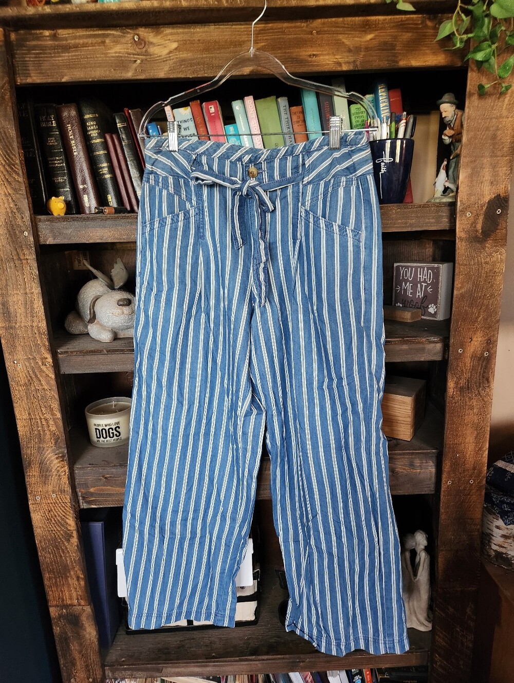 American Eagle Outfitters Blue and White Striped Pants